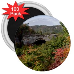 Natural Arch 3  Magnets (100 Pack) by trendistuff