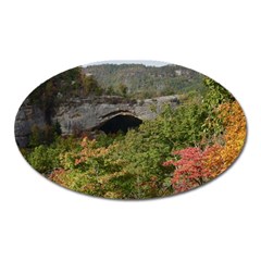 Natural Arch Oval Magnet by trendistuff