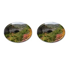 Natural Arch Cufflinks (oval) by trendistuff