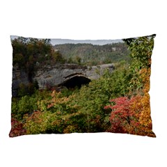 Natural Arch Pillow Cases