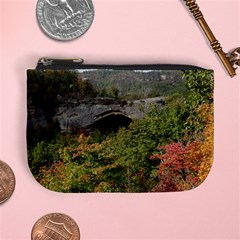 Natural Arch Mini Coin Purses by trendistuff