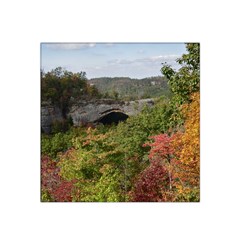 Natural Arch Satin Bandana Scarf