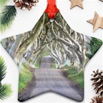 DARK HEDGES, IRELAND Ornament (Star)  Front