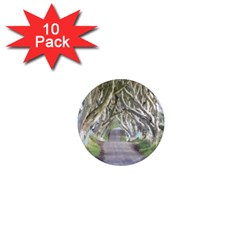 Dark Hedges, Ireland 1  Mini Magnet (10 Pack)  by trendistuff