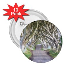 Dark Hedges, Ireland 2 25  Buttons (10 Pack) 