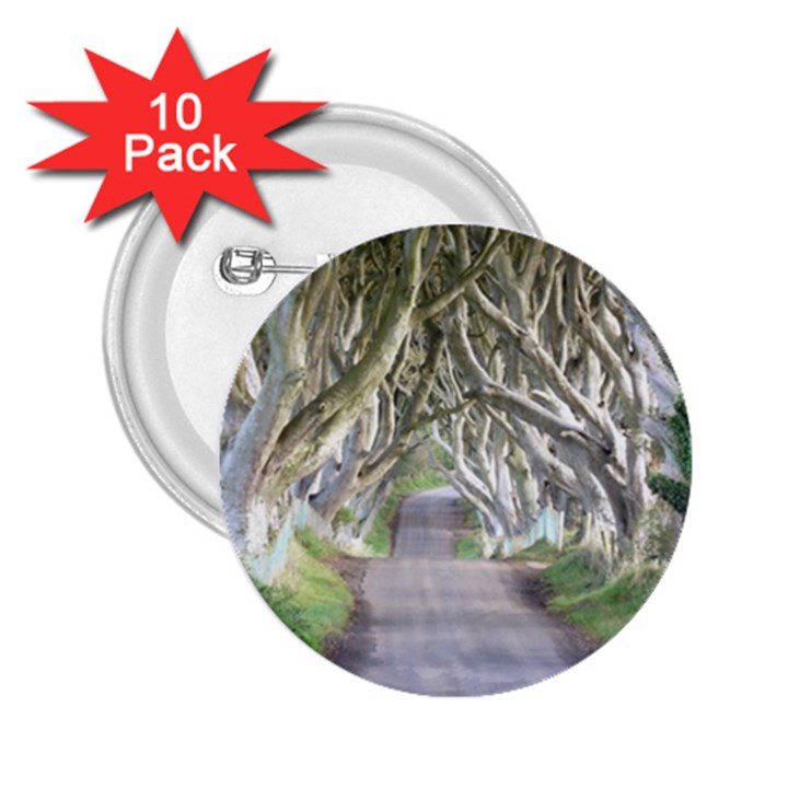 DARK HEDGES, IRELAND 2.25  Buttons (10 pack) 