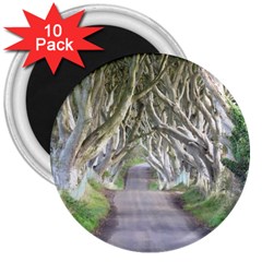 Dark Hedges, Ireland 3  Magnets (10 Pack)  by trendistuff