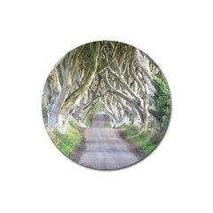 Dark Hedges, Ireland Magnet 3  (round) by trendistuff