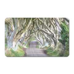 Dark Hedges, Ireland Magnet (rectangular) by trendistuff