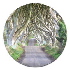 Dark Hedges, Ireland Magnet 5  (round) by trendistuff