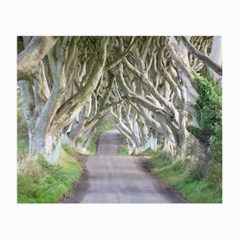 Dark Hedges, Ireland Small Glasses Cloth by trendistuff