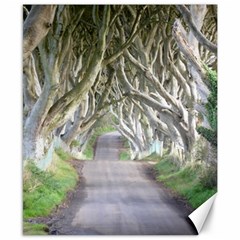 Dark Hedges, Ireland Canvas 8  X 10  by trendistuff