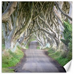 Dark Hedges, Ireland Canvas 12  X 12  