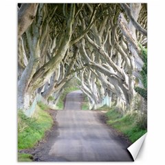 Dark Hedges, Ireland Canvas 16  X 20  