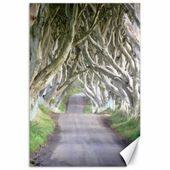 Dark Hedges, Ireland Canvas 20  X 30  