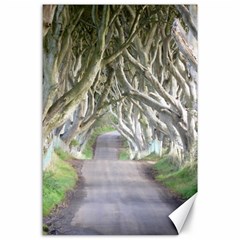 Dark Hedges, Ireland Canvas 24  X 36  by trendistuff