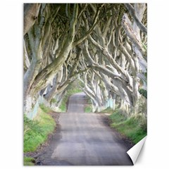 Dark Hedges, Ireland Canvas 36  X 48   by trendistuff