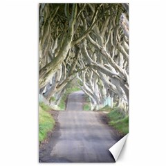 Dark Hedges, Ireland Canvas 40  X 72   by trendistuff