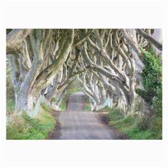 Dark Hedges, Ireland Large Glasses Cloth (2-side) by trendistuff