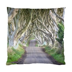 Dark Hedges, Ireland Standard Cushion Cases (two Sides)  by trendistuff