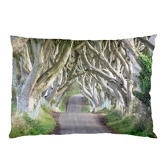 Dark Hedges, Ireland Pillow Cases