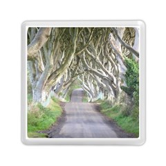 Dark Hedges, Ireland Memory Card Reader (square)  by trendistuff