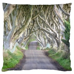 Dark Hedges, Ireland Large Cushion Cases (two Sides)  by trendistuff