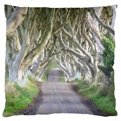 Dark Hedges, Ireland Large Flano Cushion Cases (two Sides)  by trendistuff