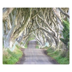 Dark Hedges, Ireland Double Sided Flano Blanket (small) 