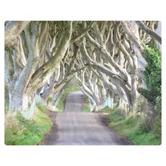 Dark Hedges, Ireland Double Sided Flano Blanket (medium)  by trendistuff