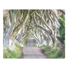 Dark Hedges, Ireland Double Sided Flano Blanket (large)  by trendistuff