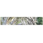 DARK HEDGES, IRELAND Flano Scarf (Large)  Front