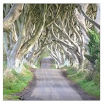 DARK HEDGES, IRELAND Large Satin Scarf (Square) Front