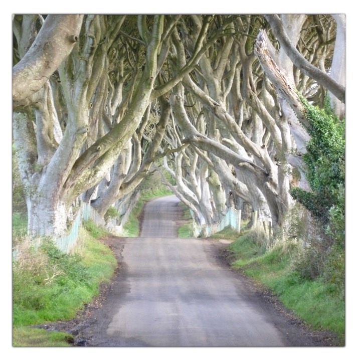 DARK HEDGES, IRELAND Large Satin Scarf (Square)