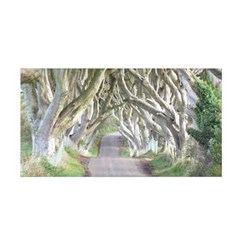 Dark Hedges, Ireland Satin Wrap