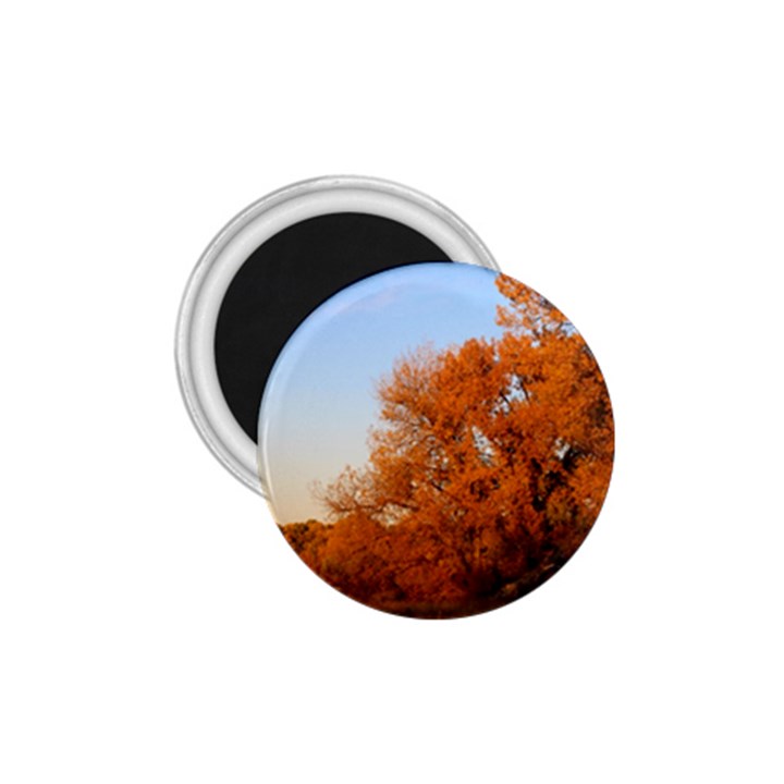 BEAUTIFUL AUTUMN DAY 1.75  Magnets