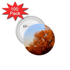 Beautiful Autumn Day 1 75  Buttons (100 Pack) 