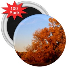 Beautiful Autumn Day 3  Magnets (100 Pack) by trendistuff