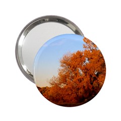 Beautiful Autumn Day 2 25  Handbag Mirrors by trendistuff