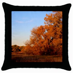 Beautiful Autumn Day Throw Pillow Cases (black) by trendistuff