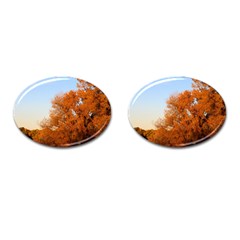 Beautiful Autumn Day Cufflinks (oval) by trendistuff