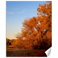 Beautiful Autumn Day Canvas 16  X 20  