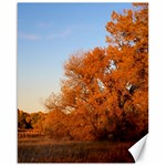 BEAUTIFUL AUTUMN DAY Canvas 16  x 20   15.75 x19.29  Canvas - 1