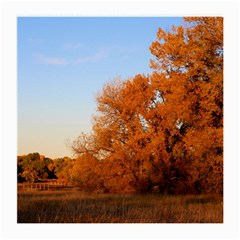 Beautiful Autumn Day Medium Glasses Cloth by trendistuff