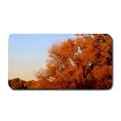 Beautiful Autumn Day Medium Bar Mats