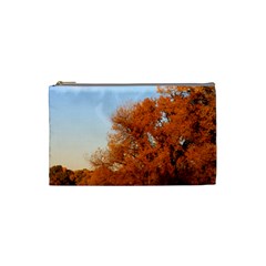 Beautiful Autumn Day Cosmetic Bag (small)  by trendistuff