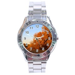 Beautiful Autumn Day Stainless Steel Men s Watch by trendistuff