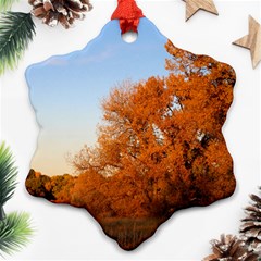 Beautiful Autumn Day Snowflake Ornament (2-side)