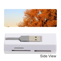 Beautiful Autumn Day Memory Card Reader (stick) 