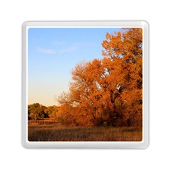 Beautiful Autumn Day Memory Card Reader (square) 